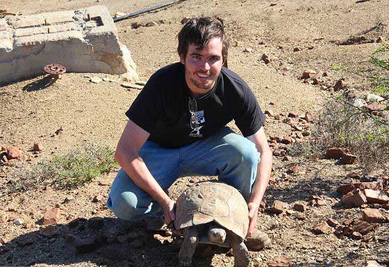 Working with tortoises